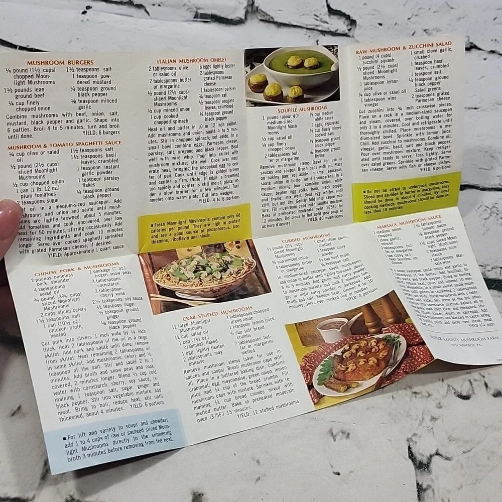 Vintage Recipe Pamphlets Cookbook Inserts MCM Housewives Paper Lot‎ Of 6